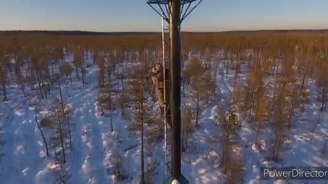 Уникальное искусственное гнездо для краснокнижной скопы установили в Дарвинском заповеднике смотреть онлайн