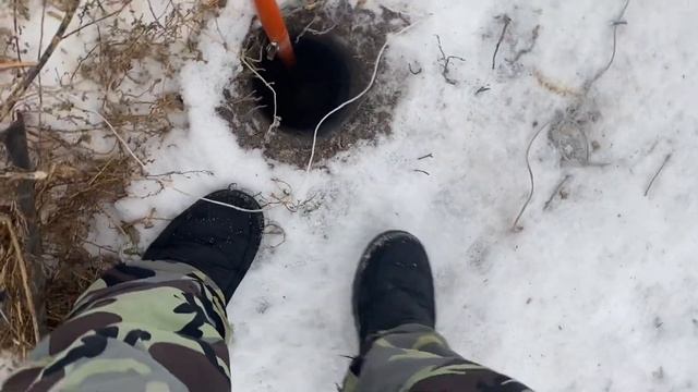 Играем утром с Флоки) смотреть онлайн