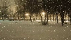 Радмила Караклаич Падает снег