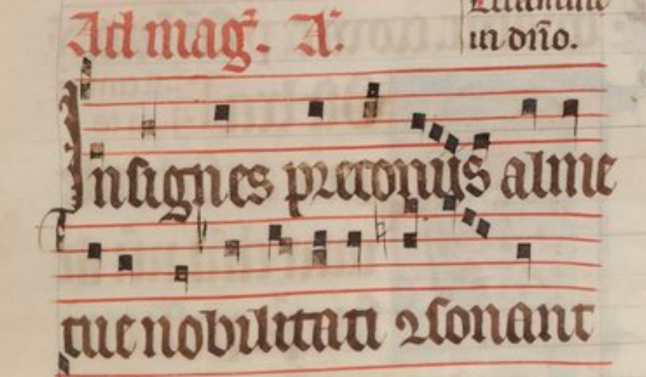 Insignes preconijs