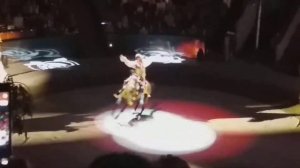 Лошадь прыгает через скакалку