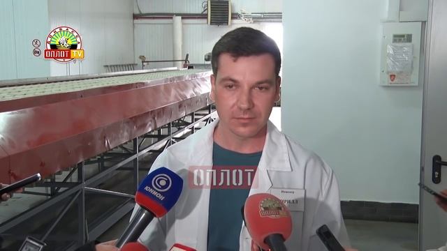 Глава ДНР проверил первый урожай томатов ГП «Теплицы Донбасса» смотреть онлайн