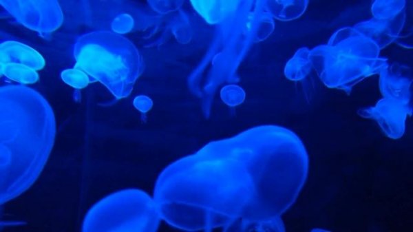 best relaxation music for sleep