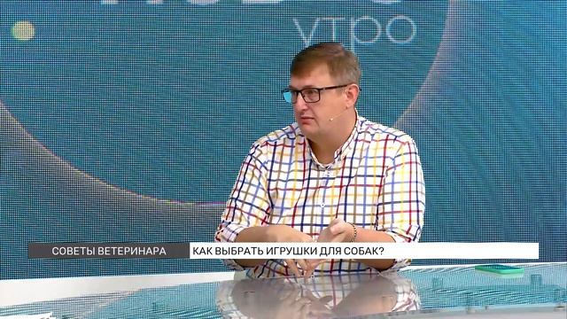 Как выбрать игрушки для собак? смотреть онлайн