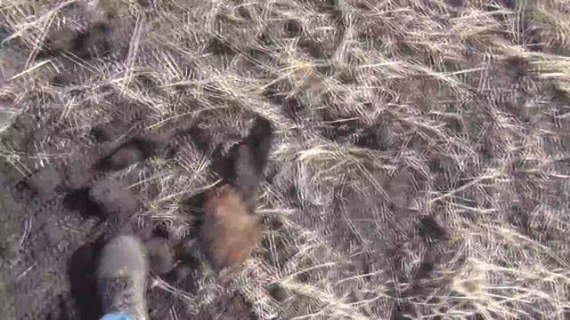 Космическая "МАНДУЛА"(+18) / Search for coins смотреть онлайн