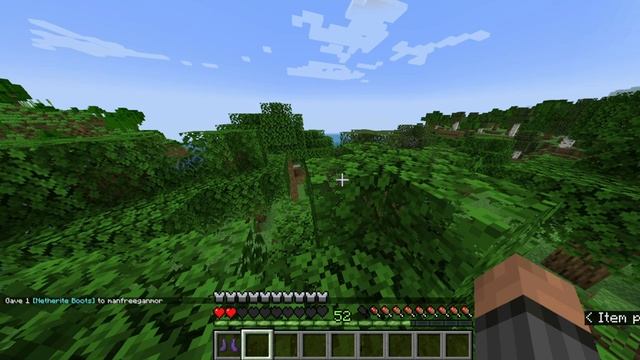 How To Get Protection 1000 Armor in Minecraft 1.19 смотреть онлайн