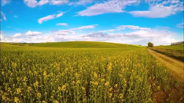 Фатиха Ихлас Фалак Нас суры
#сура #Аллаһ #фатиха #ислам