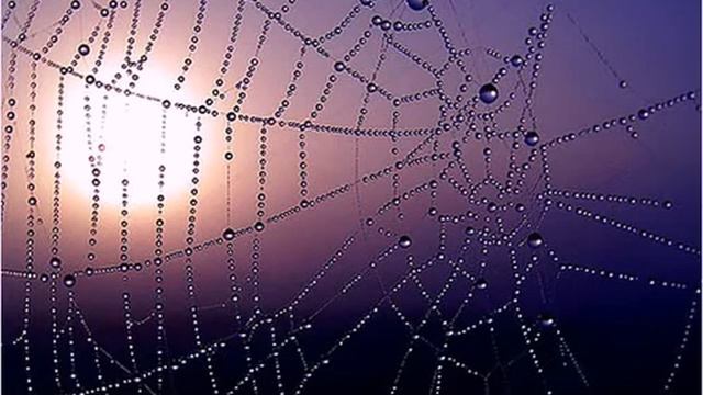 23 мая ОЧЕНЬ СЛОЖНЫЙ ДЕНЬ. БУДЬТЕ ОСТОРОЖНЫ смотреть онлайн