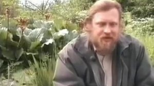 Бадан толстолистный  Применение бадана в народной медицинее