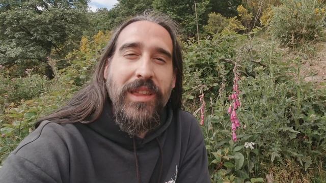 ?Plantas de uso TRADICIONAL 12: La DEDALERA (Digitalis purpurea) смотреть онлайн