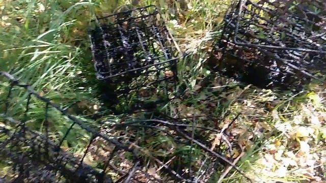 Коп металла. Достаю металл из второго пруда! Результат шикарный,загрузил (ПОЛНЫЙ КУЗОВ НА МОТОБЛОКЕ смотреть онлайн