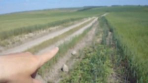 Кратность бинокля на охоте 8 или 12