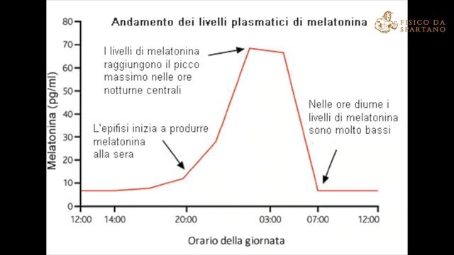 Melatonina - gli integratori funzionano? смотреть онлайн