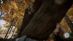 КАК ПОСТРОИТЬ ЛЕСТНИЦУ, ЗАКРЫВАЕМ ОТВЕРСТИЕ В СТЕНЕ В ФОРЕСТЕ ( SONS OF THE FOREST) #sonsofthefores