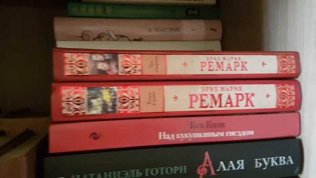КНИЖНЫЕ ПОЛКИ и ПЕРЕСТАНОВКА смотреть онлайн