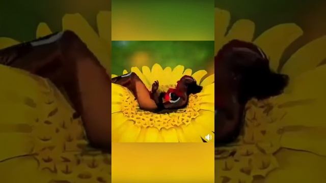 Медитация Принятие и Свобода #осознанность #счастье #радость #я #мир #любовь #познание #свобода смотреть онлайн