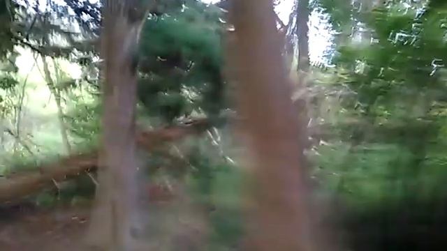 Памятник природы "Белый пекан смотреть онлайн