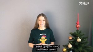 С Новым годом по-китайски! 新年快乐！