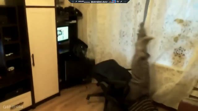 мужик упал со стула полный ржач!!!!!!!!!! смотреть онлайн