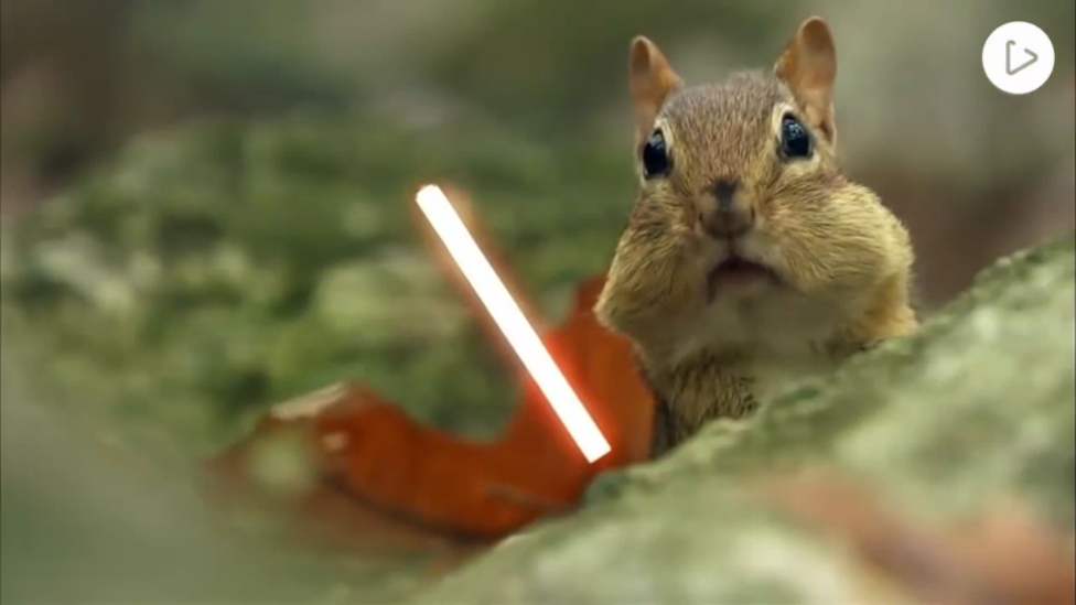 jedi chipmunks смотреть онлайн