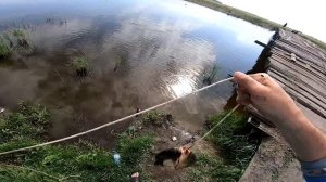 Рыбалка на паук , РОЗЫГРЫШ ПАУКА ! Как я сазанов наловил на паук подъемник Рыбалка на сазана 2022