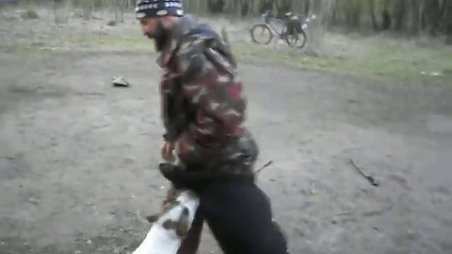 Пупков и щенок стаффорда Фрост Весёлая кусачка в ногу смотреть онлайн