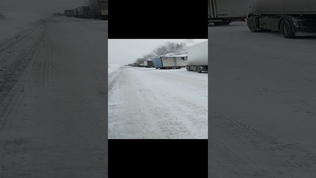 VID_20230303_100846.mp4