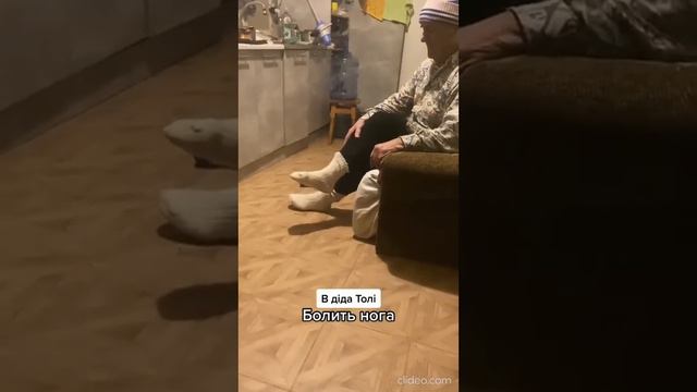 Дід Толя - Голова болить смотреть онлайн