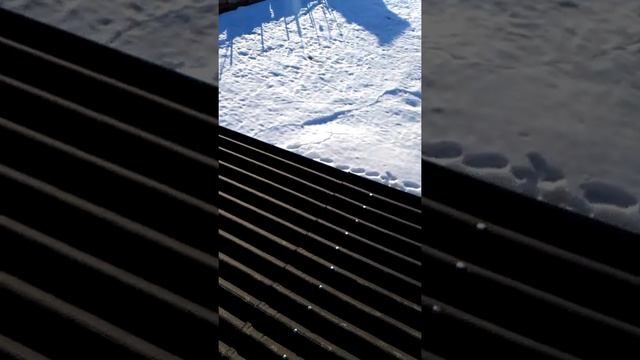 Крыша из андулина смотреть онлайн