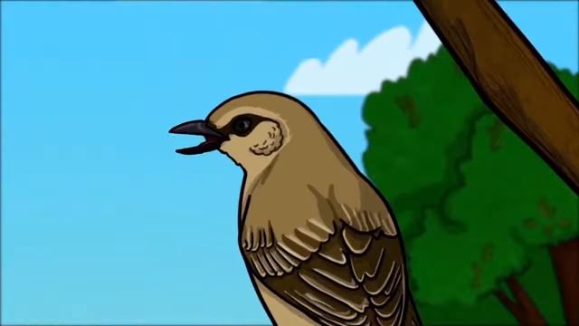 Профессор Почемушкин Почему попугаи умеют разговаривать смотреть онлайн