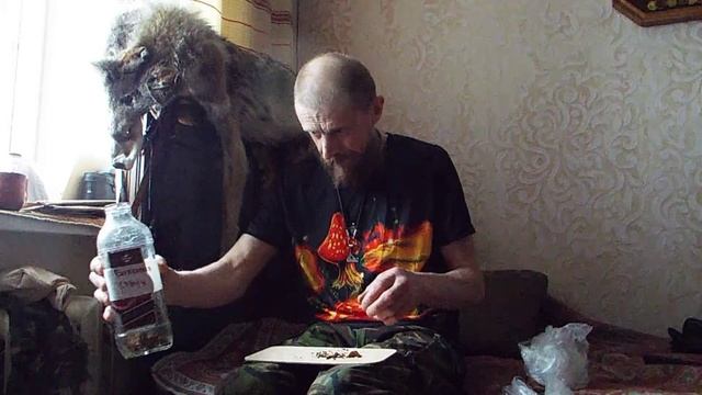 Про струю бобра смотреть онлайн