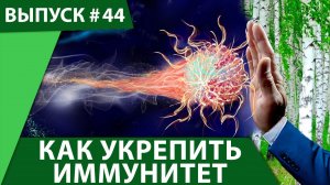 Как укрепить иммунитет. Здоровье и активное долголетие