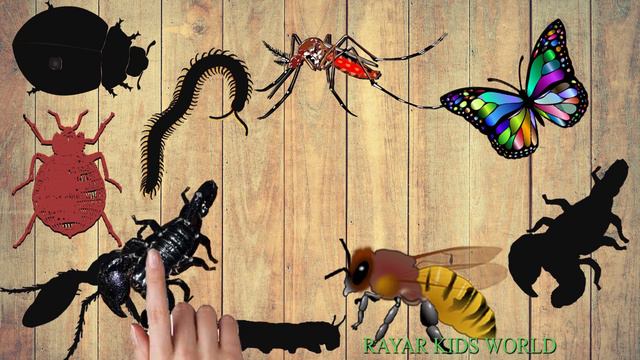 CUTE INSECTS - Wrong insects🐞🪲🐝 puzzle for kids and children - Learn Insects name смотреть онлайн