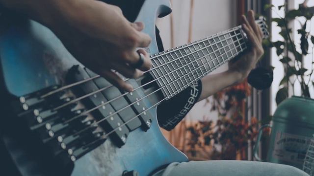 Ripal // Zephyr Bass Cover смотреть онлайн