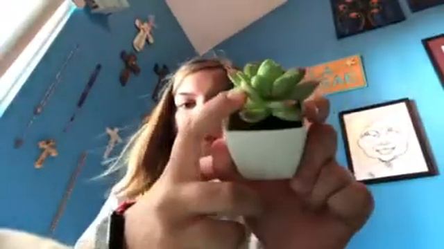 DIY: Zen garden смотреть онлайн