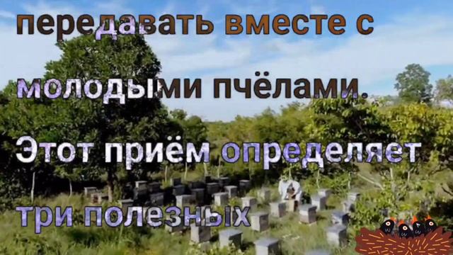 Работы в июне