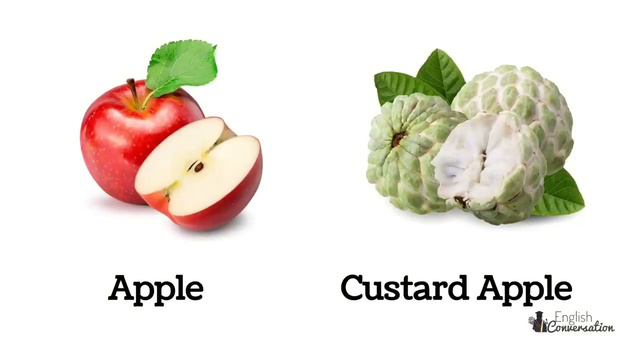 Fruit names | English vocabulary | Improve your English skill with words смотреть онлайн