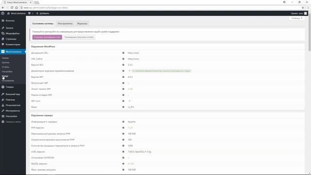 Знакомство с разделом меню WooCommerce. смотреть онлайн