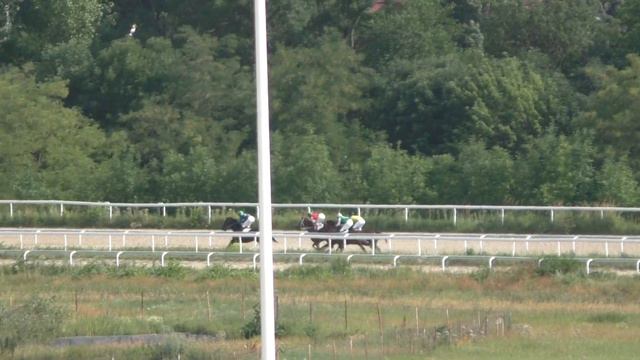 7.07.2018 - 9 Скачка на лошадях 3-х лет чистокровной верховой породы - Таурус смотреть онлайн