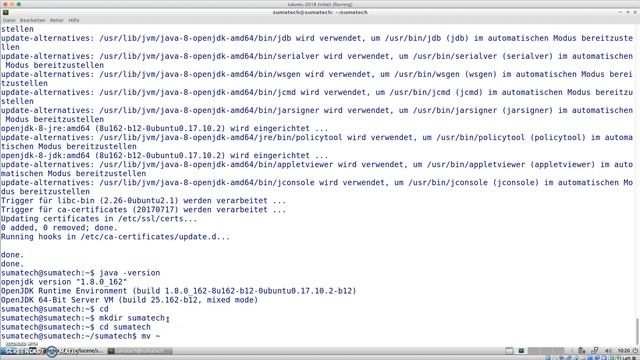 Installation von Apache Solr 7.3.0 unter Ubuntu смотреть онлайн