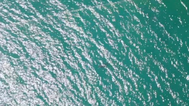 Джанхот Голубая Бездна!!)) смотреть онлайн