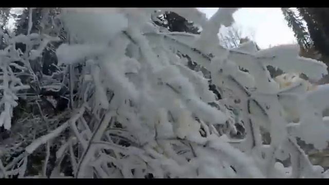 Зимняя сказка Какая Карелия зимой смотреть онлайн