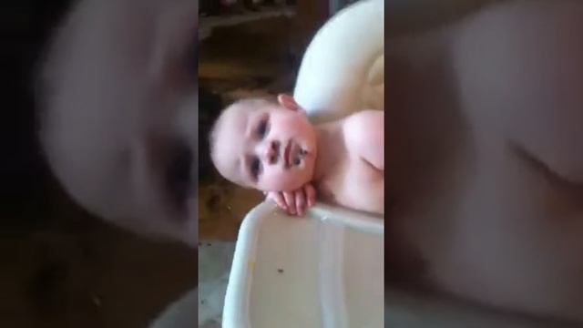 Case of the De-potted plant смотреть онлайн