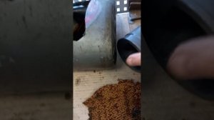 Тойота Прадо 120 замена ШРУС