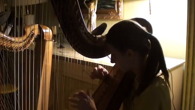 Meme Harp - Duo  Harp Erard With Parrot