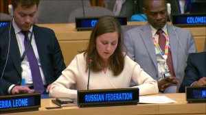 Выступление Н.В.Соколовой на встрече членов СБ ООН по «формуле Арриа»