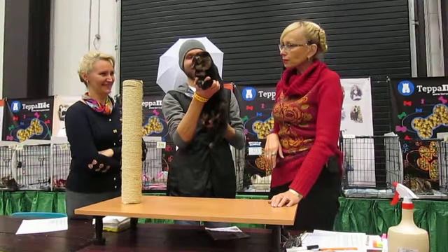 Наша вторая выставка в Экспофоруме (эксперт Татьяна Чернова) смотреть онлайн