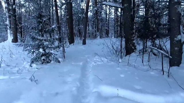 Лада Нива ТРЕВЕЛ 2021. ЖРЁТ, как не в себя ЗИМОЙ? Измерим РЕАЛЬНЫЙ РАСХОД в СМЕШАННОМ цикле при - 2 смотреть онлайн