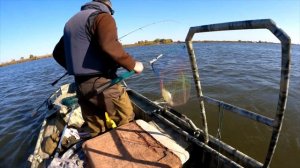 Рыбалка в Астрахани 2021 Бешенный клёв судака / остров Мумра