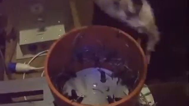 Перосъемная машина ПЛЮКА мини для перепелов от Спрут Технолоджи